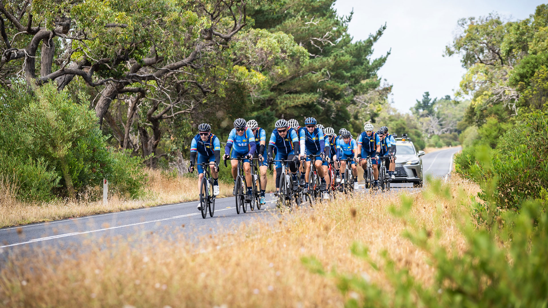 Cyclists ride along a scenic road for Tour de Cure