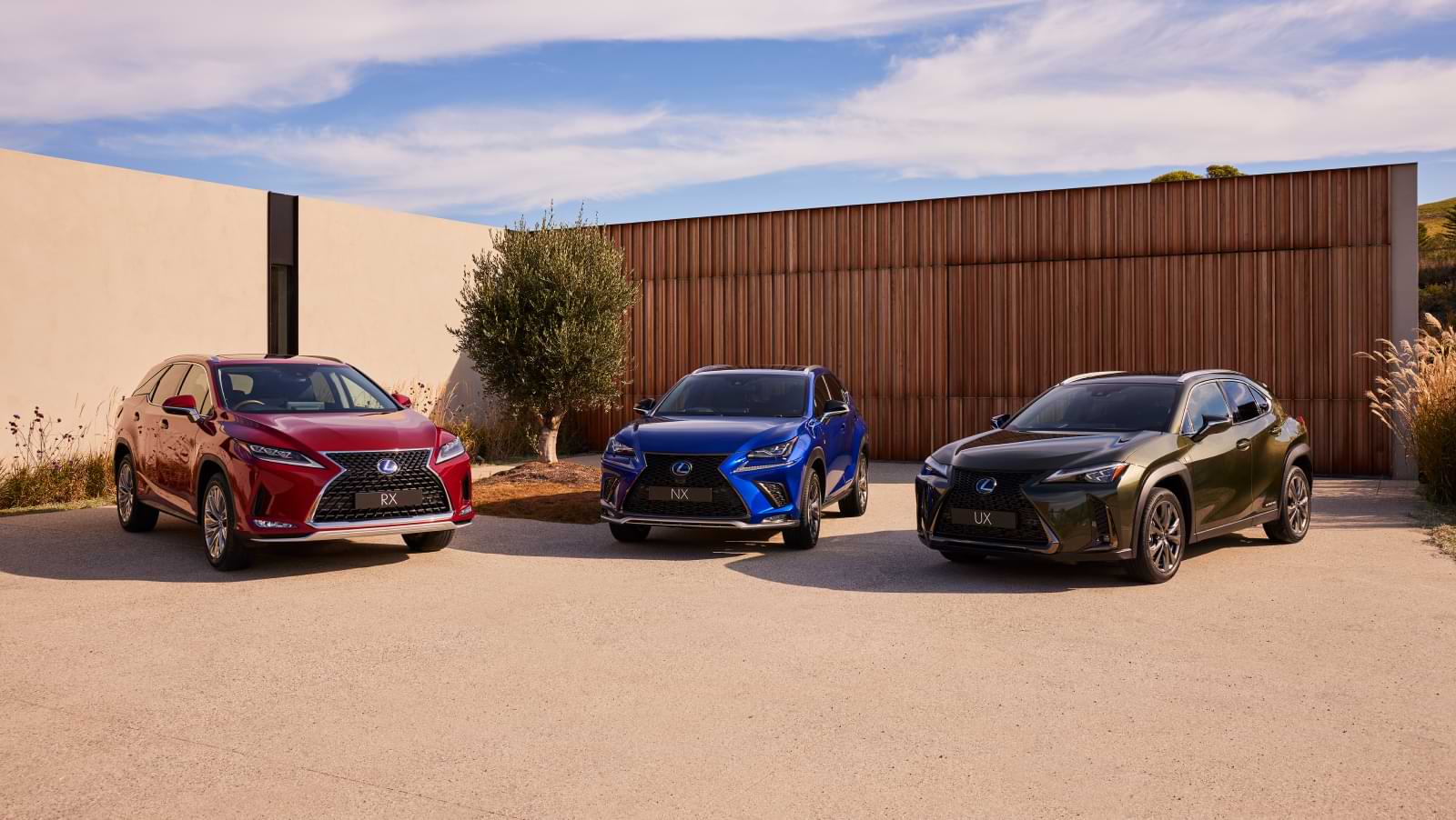 A red RX, blue NX and dark green UX lined up outside in a pebbled driveway.