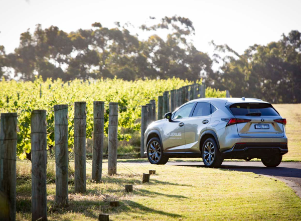 Lexus Gourmet Escape