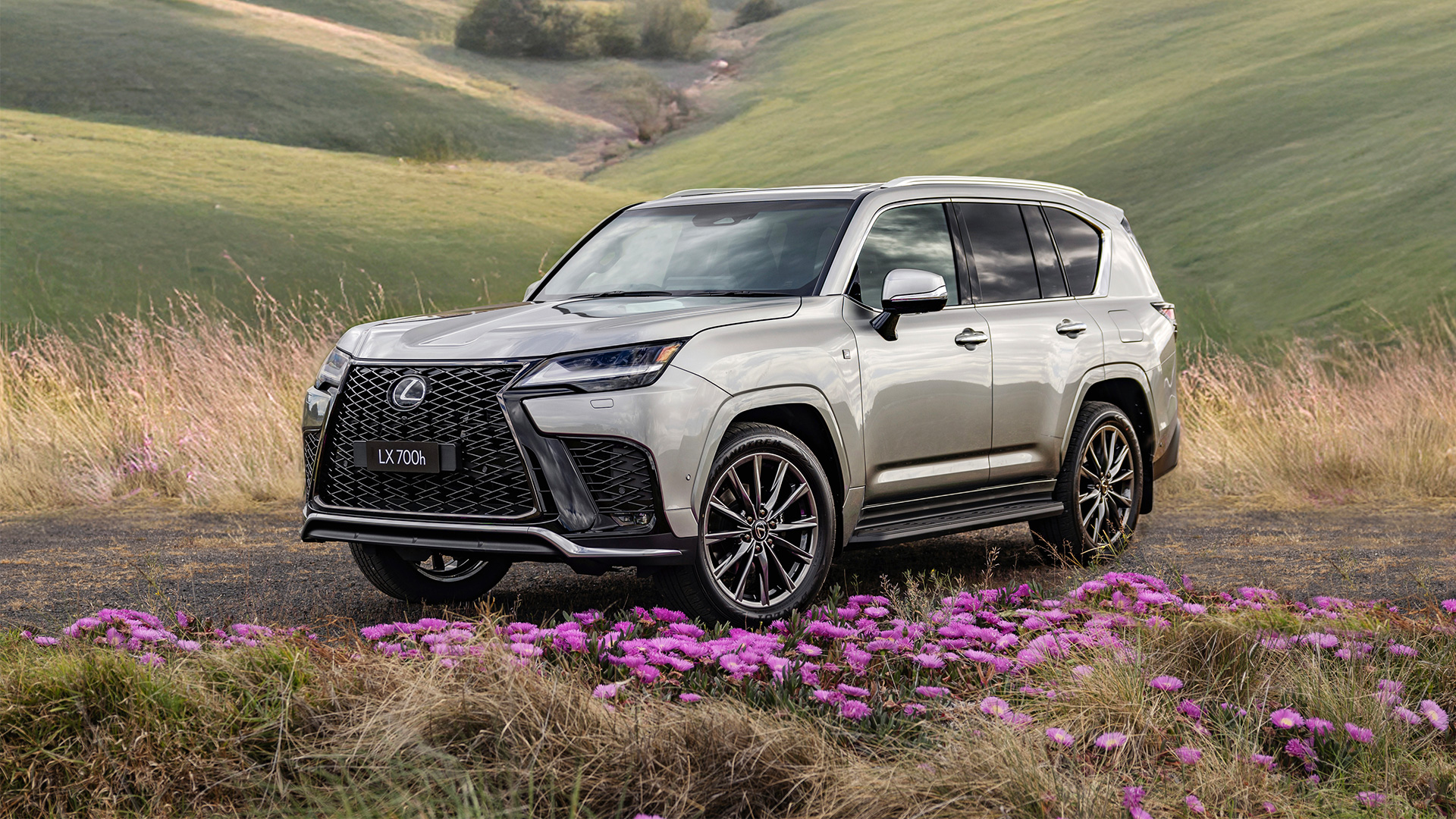 Silver Lexus LX 700h parked on a scenic hillside with rolling green landscapes and wildflowers.